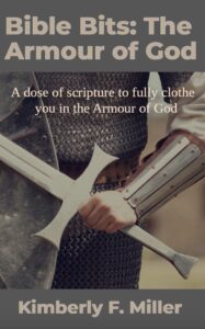 image of the cover of Bible Bits: The Armour of God